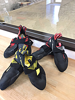 スポルティバより「セオリー」「スクワマ（ニューカラー）」入荷しました！